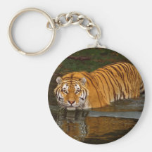 Beautiful Tiger Photo Tees, GIfts - Customise Keychain