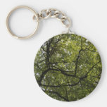 Beautiful tree photograph key chain