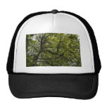 Beautiful tree photograph trucker hat