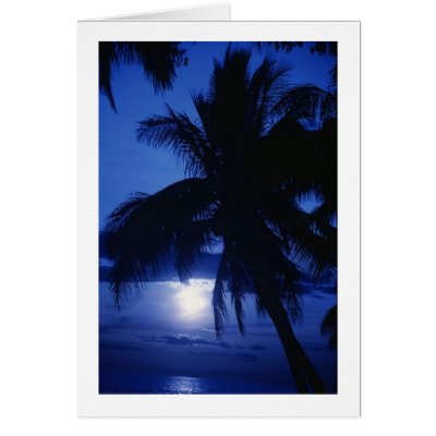 Beautiful Tropic Scenery Card by forbes1954