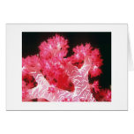 Beautiful Tropical Coral Card-All Occasion