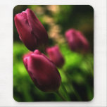 Beautiful Tulip Mousepad!