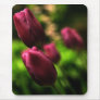 Beautiful Tulip Mousepad!