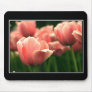 Beautiful Tulip Mousepad! (with border)