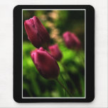 Beautiful Tulip Mousepad! (with border)