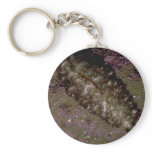 Beautiful Two-inch flatworm from the Fiji Islands Key Chain