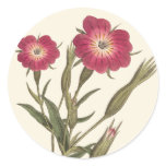 Beautiful Vintage Field Flowers Antique Botanical Stickers