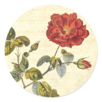 Beautiful Vintage Red Rose Antique Botanical Sticker