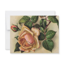 *Beautiful Vintage Roses*