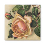 *Beautiful Vintage Roses* Magnet