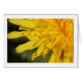 Beautiful Weed : Dandelion Card