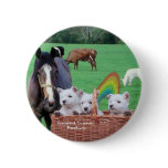 Beautiful Westie Puppies & Scenic Ireland Pasture