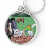 Beautiful Westie Puppies & Scenic Ireland Pasture