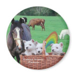 Beautiful Westie Puppies & Scenic Ireland Pasture