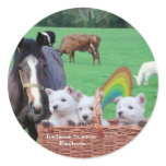Beautiful Westie Puppies & Scenic Ireland Pasture