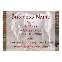 Beautiful White Arabian Horse Business Cards