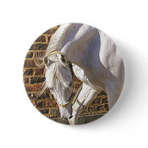 Beautiful White Arabian Horse