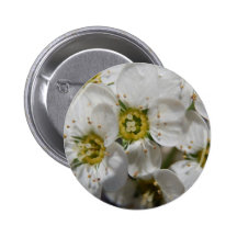 Beautiful White Bolossom Flowers & Yellow centres Pins