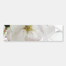 Beautiful White Bumper Stickers