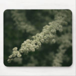 Beautiful White Close-up Mousepad!