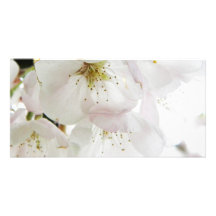 Beautiful White Customized Photo Card