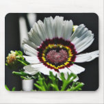 Beautiful White Flower In Park Mousepads