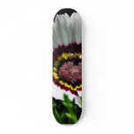Beautiful White Flower In Park Custom Skateboard