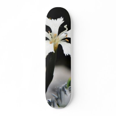 Beautiful White Flower Skate Decks by lifesphere