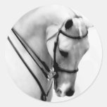 Beautiful white Horse head Round Sticker