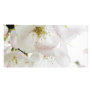 Beautiful White Customized Photo Card