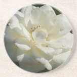 Beautiful white Rose drink coaster