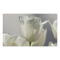 Beautiful White Spring Tulips Rectangular Sticker
