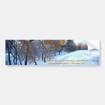 Beautiful winter season bumper stickers