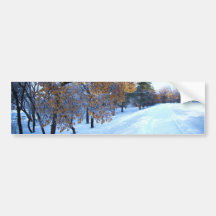 Beautiful winter season bumper stickers