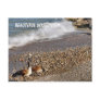Beautiful Wisconsin Post Cards