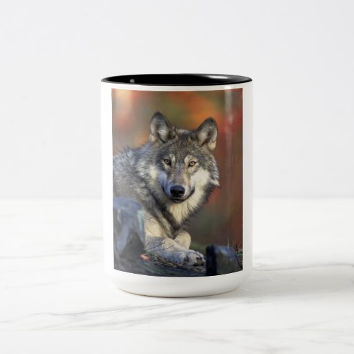 Beautiful Wolf Coffee Mugs Zazzle