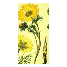 Beautiful Yellow flower Customized Photo Card