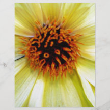 Beautiful Yellow flower detail Custom Flyer