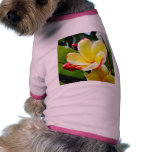 Beautiful Yellow Flower Pet T-shirt