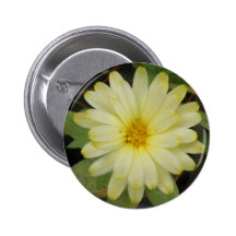 Beautiful Yellow Marigold Button