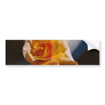 Beautiful yellow rose bumper stickers