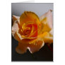 Beautiful yellow rose card