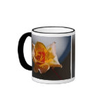 Beautiful yellow rose coffee mugs