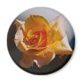 Beautiful yellow rose fridge magnets
