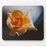 Beautiful yellow rose mousepad