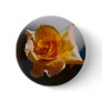 Beautiful yellow rose pin
