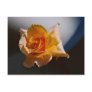 Beautiful yellow rose post card
