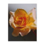 Beautiful yellow rose post cards