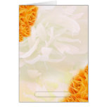 Beautiful Yellow roses and light green floral Cards