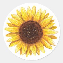 Beautiful yellow sunflower drawing stickers